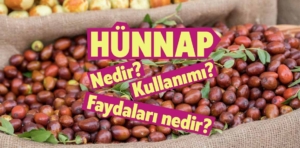 Hünnap nedir? Hünnapın faydaları nelerdir?