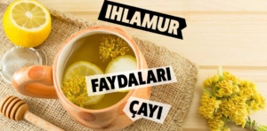 Ihlamurun faydaları nelerdir?