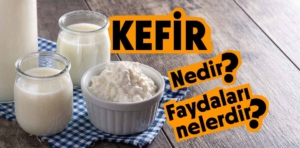 Kefir Nedir? Kefirin Faydaları Nelerdir?