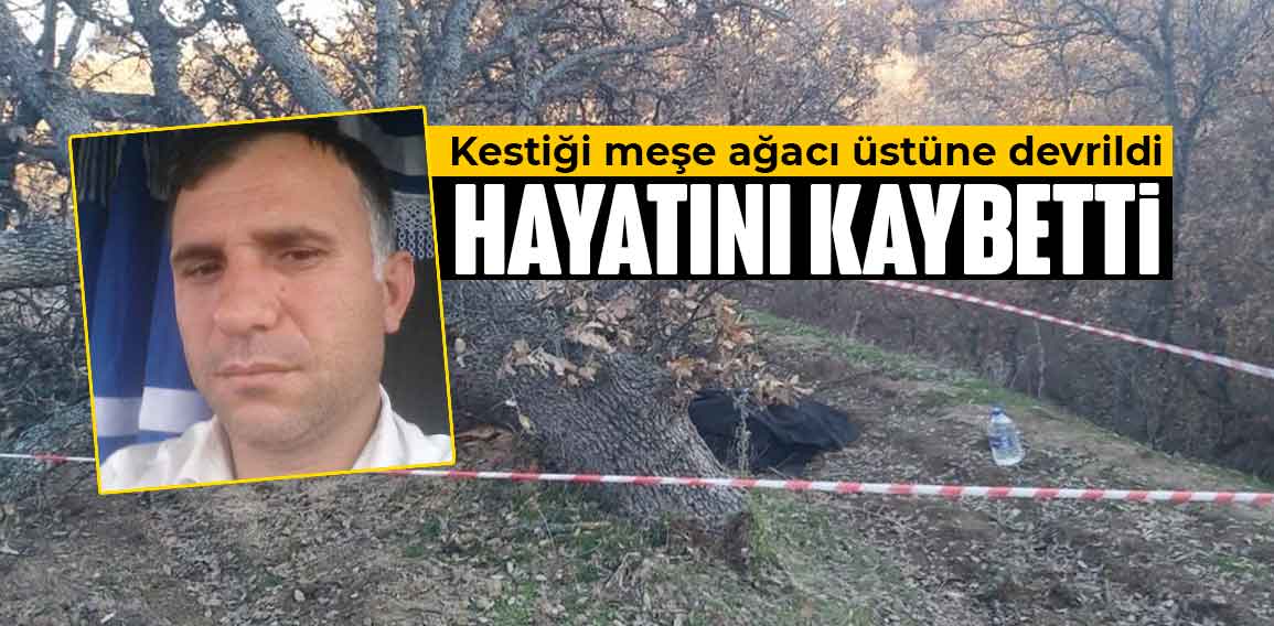 Kütahya’nın Hisarcık ilçesinde, arazisinde