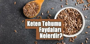 Keten tohumu nedir? Faydaları nelerdir?