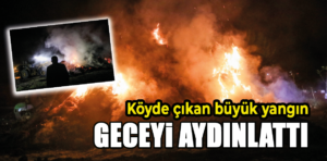 Kütahya’da köyde çıkan yangın güçlükle söndürüldü