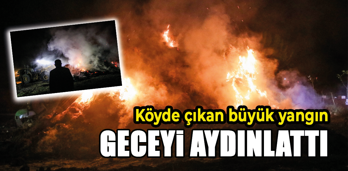 Kütahya’nın Domaniç ilçesinde, ahır