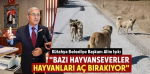 Belediye Başkanı Işık, bazı hayvan severlere tepki gösterdi