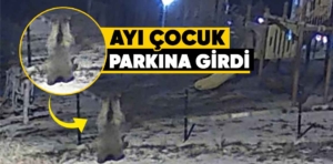 Kütahya’da çocuk parkına ayı girdi