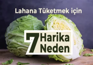 Lahana Tüketimi ve Sağlık İçin 7 Önemli Neden