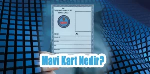 Mavi Kart Nedir?