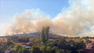 Eskişehir’de çıkan orman yangınına müdahale ediliyor