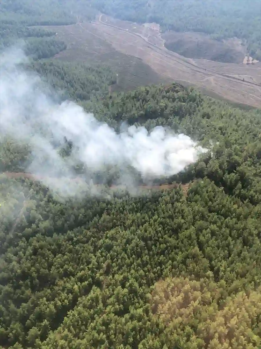 Muğla‘nın Köyceğiz ilçesinde çıkan