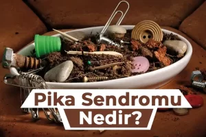 Pika Sendromu Nedir ?