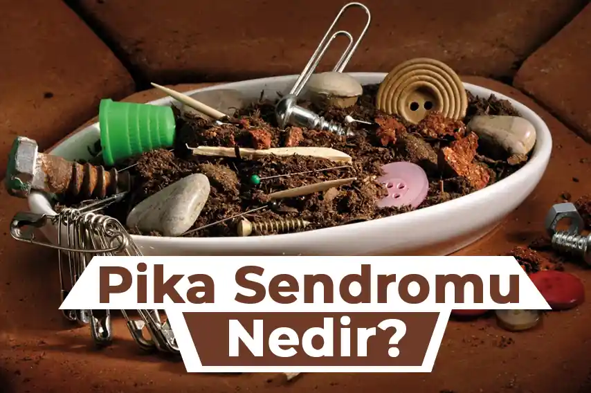 Pika sendromu, yaygın görülen