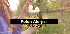 Polen Alerjisi Artık Daha Agresif Hale Geldi!