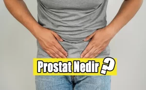 Prostat Nedir?