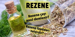 Rezene çayı nasıl demlenir? Rezene faydaları nelerdir?