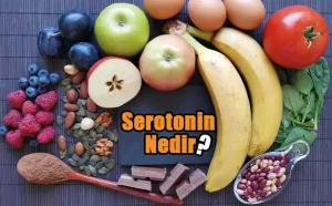 Serotonin Nedir?