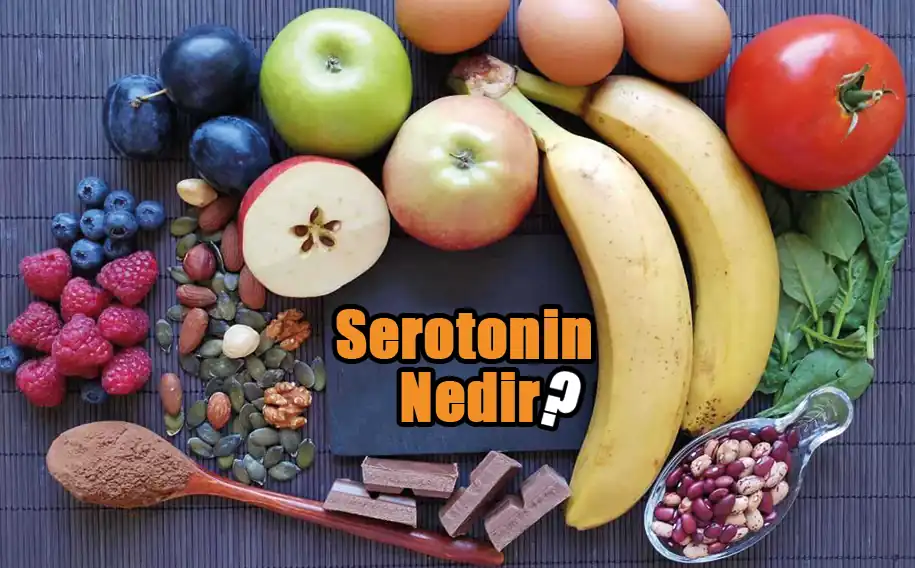 Serotonin, vücutta birçok önemli