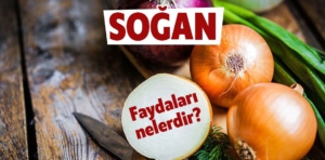 Soğanın faydaları nelerdir?