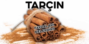 Tarçının faydaları nelerdir?