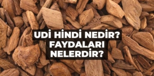 Udi Hindi nedir? Udi Hindi yağı faydaları nelerdir?