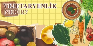 Vejetaryen nedir?