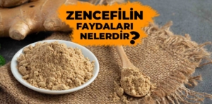 Zencefilin faydaları nelerdir?