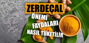 Zerdeçalın faydaları ve nasıl tüketilmelidir?