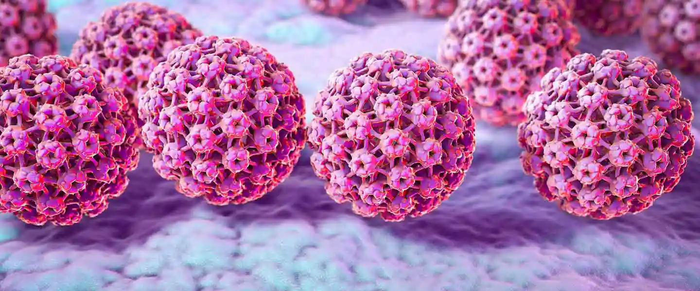 HPV, 200’den fazla çeşidi