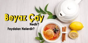 Beyaz Çay nedir? Faydaları nelerdir?