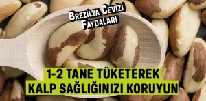 Brezilya cevizi nedir, faydaları nelerdir?