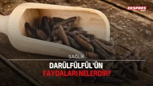 Darülfülfül’ün faydaları nelerdir?