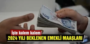 Emekli maaşlarına gelecek muhtemel zam tablosu