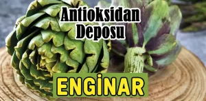 Enginarın faydaları nelerdir? Nasıl tüketilir?