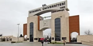 İstanbul Üniversitesi 278 sözleşmeli personel alacak