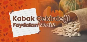 Kabak çekirdeğinin ne gibi faydaları var?