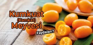 Kumkuat (Kamkat) meyvesi faydaları nelerdir?