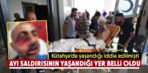 Kütahya’da yaşandığı iddia edilen ayı saldırısının yeri belli oldu