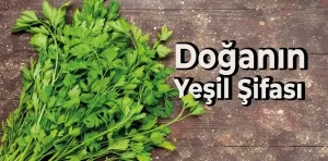 Maydanozun Faydaları Nelerdir?