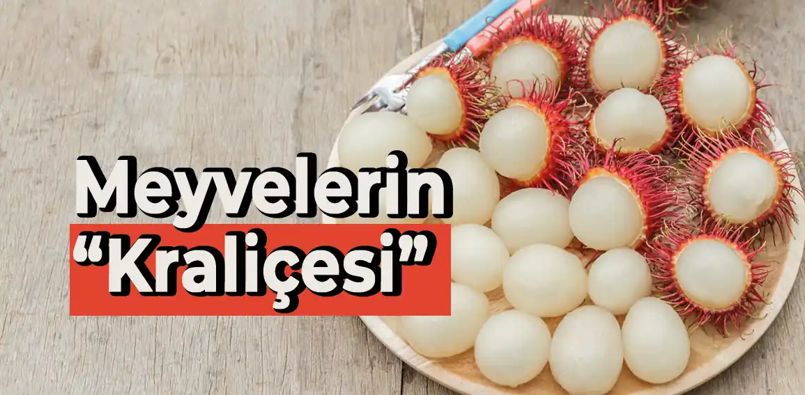 Rambutan meyvesi, deniz kestanesine