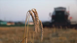 Tarımsal destekleme ödemesi ne zaman yapılacak?