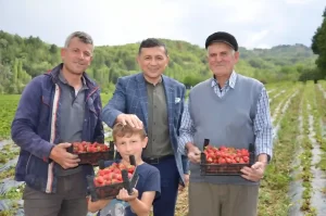 MHP Kütahya Milletvekili Erbaş, çiftçi emeklilerini unutmadı 