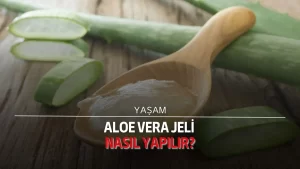 Aloe Vera jeli nasıl yapılır?