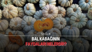 Bal kabağının faydaları nelerdir?