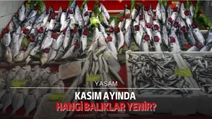 Kasım ayında hangi balıklar yenir?