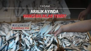 Aralık ayında hangi balıklar yenir?