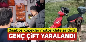 Kütahya’da başıboş köpekler trafik kazasına neden oldu