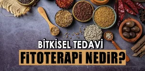 Fitoterapi nedir? Nasıl uygulanır?