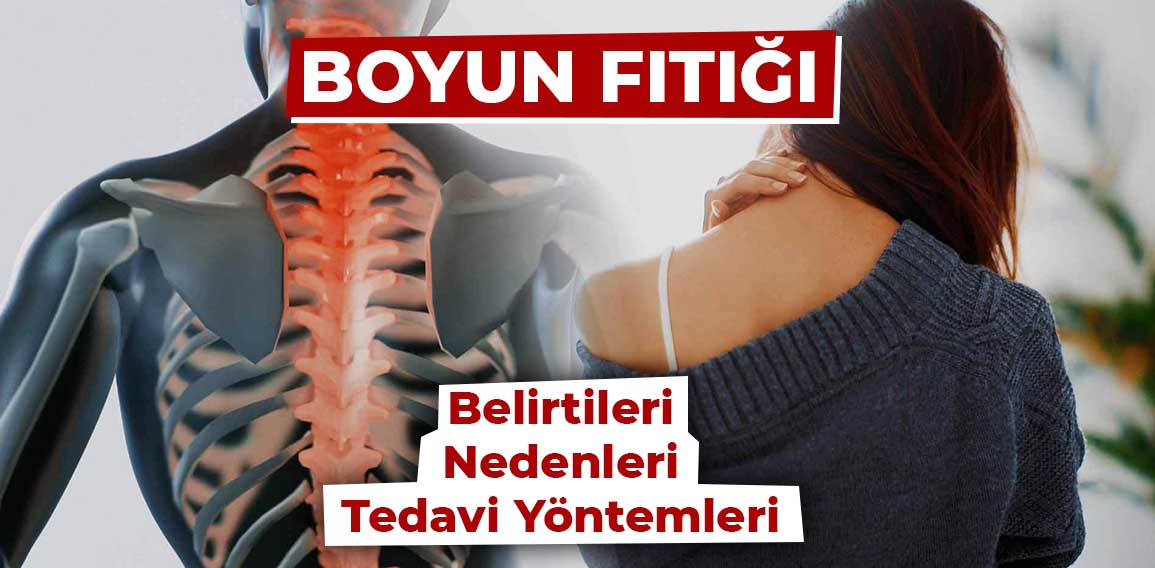 Boyun fıtığı, boyun omurları