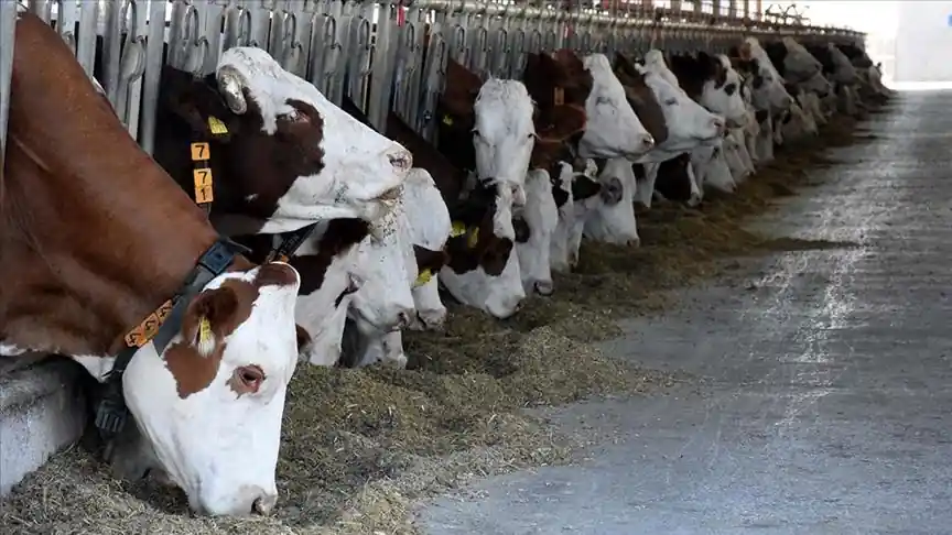 Kahramanmaraş’ta deprem felaketiyle sarsılan