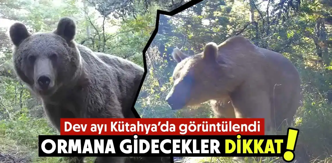 Kütahya’da geçen yıl kasım