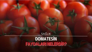 Domatesin faydaları nelerdir?